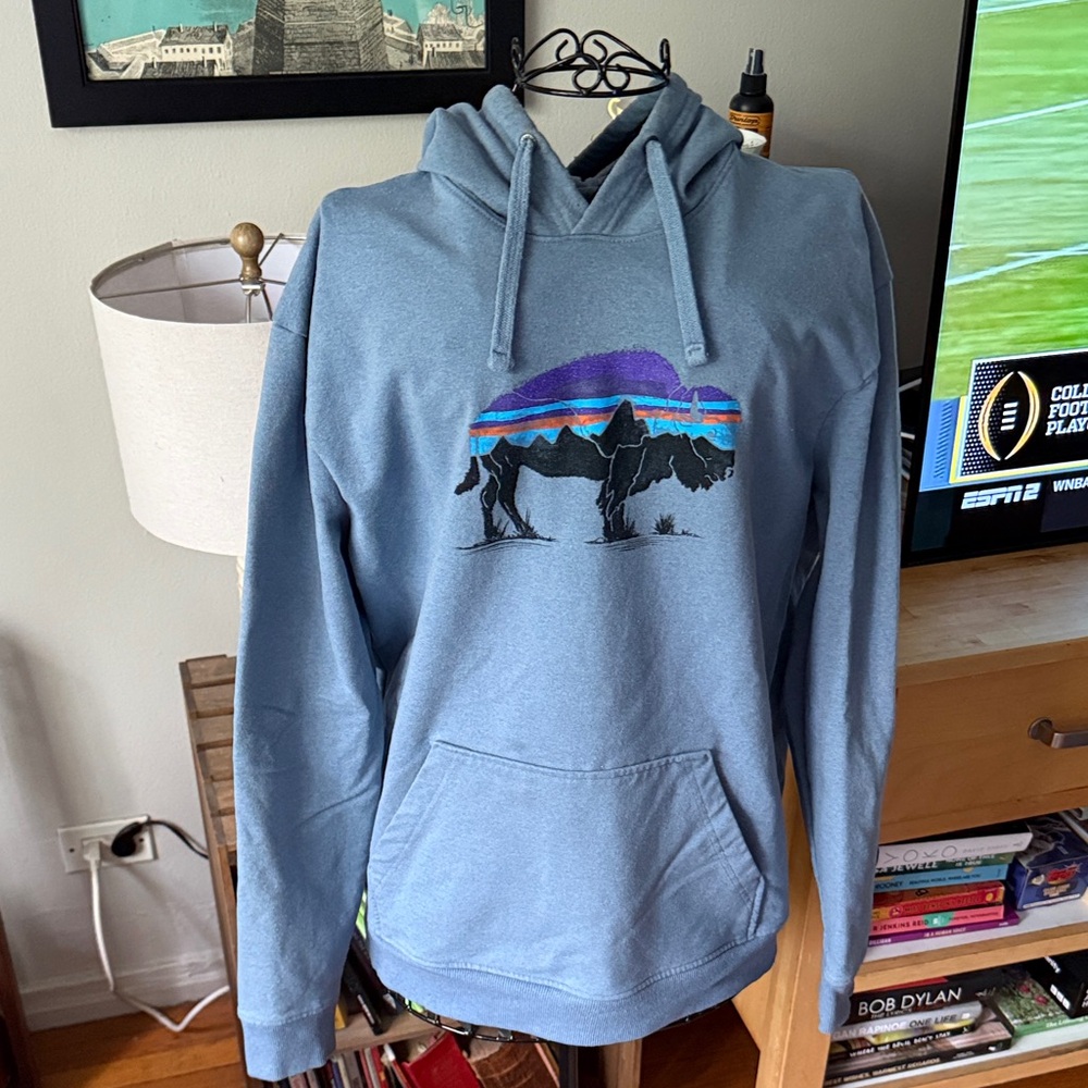 Patagonia Blue Mountain Graphic Hoodie!
